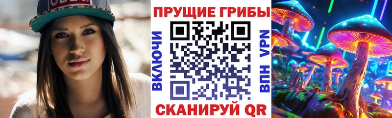 как найти наркотики  Курганинск  Псилоцибиновые грибы ЛСД 