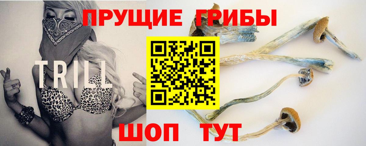 Курганинск  Псилоцибиновые грибы Psilocybine cubensis  Галлюциногенные грибы ЛСД  Вход с VPN 