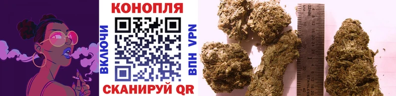 Каннабис план  Курганинск 