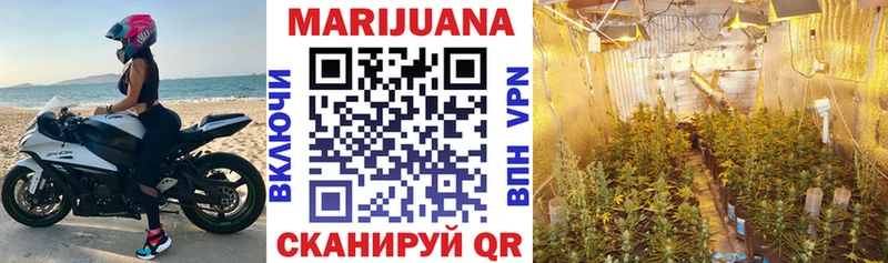 Бошки марихуана OG Kush Курганинск